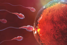 Νέα έρευνα ανακάλυψε ότι ο υπέρηχος μπορεί να ενισχύσει την κινητικότητα του σπέρματος