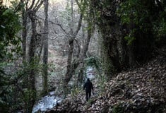 Δάση: Πώς θα προστατευτούν; Η νέα μεταρρύθμιση του ΥΠΕΝ