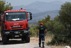 Πυρκαγιά σε χορτολειβαδική έκταση στο Λαύριο