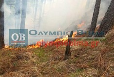Φωτιά στα Πιέρια όρη: Ενισχύθηκαν οι επίγειες δυνάμεις