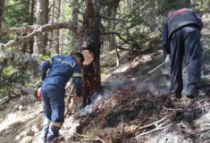 Φωτιά στα Πιέρια Όρη: Στις φλόγες παρθένο δάσος- Εξαιρετικά δύσβατο το σημείο