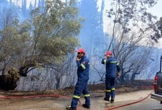 Πιέρια Όρη: Οριοθετήθηκε η φωτιά μετά από 4 μέρες