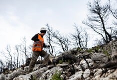 Περιβάλλον: Πολυνομοσχέδιο για δάση, αυθαίρετα, ενεργειακές κοινότητες