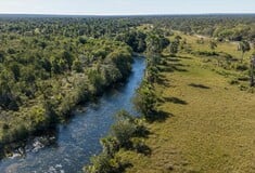 H&M και Zara συμβάλλουν στην αποψίλωση του δάσους στον Αμαζόνιο, καταγγέλλει η ΜΚΟ Earthsight