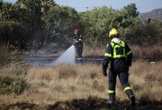 Πυροσβεστική: 56 αγροτοδασικές πυρκαγιές το τελευταίο 24ωρο στη χώρα