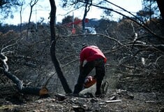 Δίκη για Μάτι: Παρέμβαση Αρείου Πάγου υπό τον κίνδυνο παραγραφής αδικημάτων