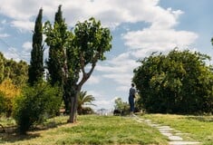 Πάρκο Ιλισού: Ένας ξεχωριστός πνεύμονας πρασίνου και άθλησης 