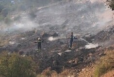 Η φωτιά στο Άλσος Βεΐκου προκλήθηκε από βεγγαλικά που πέταξαν ανήλικοι