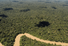 Βραζιλία: Η αποψίλωση στην σαβάνα Σεχάντου ξεπέρασε αυτήν στο τροπικό δάσος του Αμαζονίου