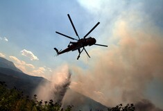 Οριοθετήθηκε η φωτιά στην Αλίαρτο Βοιωτίας