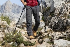 Φωτογραφία αρχείου: Freepik.com