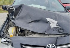Τροχαίο με νεκρή αρκούδα στην Καστοριά