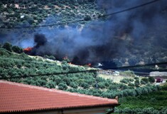 Φωτιά τώρα στο Σχιστό Κορυδαλλού