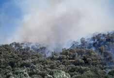 Φωτιά τώρα στην Αργολίδα: Νέο μήνυμα 112 στη Δάρδιζα