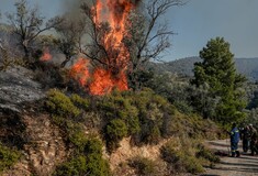Φωτιά στην Ηλεία: Διακοπή κυκλοφορίας στη νέα Εθνική Οδό Πατρών-Πύργου 