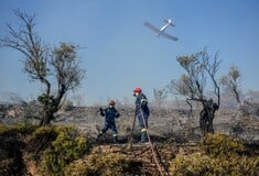 Φωτιά στην Ηλεία: Ένας νεκρός στη Μυρτιά
