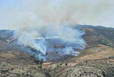 Φωτιά τώρα στην Κεφαλονιά: Καίει βλάστηση στην περιοχή του Μύρτου
