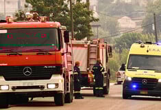 Φωτιά στην Ηλεία: Αναζωπύρωση στη Βαλμοράχη - Εξακολουθούν να υπάρχουν διάσπαρτες εστίες