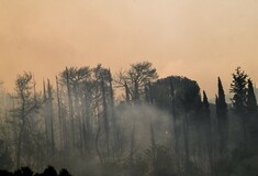 Χωρίς ενεργό μέτωπο η φωτιά στην Ηλεία