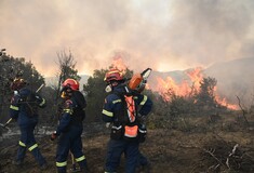 Φωτιές τώρα στην Ελλάδα: Μάχη με τις φλόγες σε Αχαΐα, Ασπρόπυργο και Άνδρο 