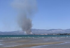 Φωτιά τώρα στα Ψαχνά Εύβοιας: Απειλούνται σπίτια και ο υγροβιότοπος Κολοβρέχτης 