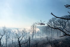 Πυροσβεστική: 44 φωτιές σε 24 ώρες
