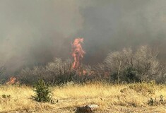 Oριοθετήθηκε η φωτιά στη Φέριζα