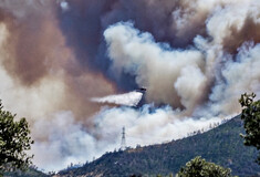 Φωτιά τώρα στην Πάρνηθα: Συναγερμός στην Πυροσβεστική - Κυκλοφοριακές ρυθμίσεις από την ΕΛΑΣ