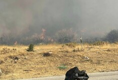Φωτιά τώρα στην Φέριζα Κερατέας: Μήνυμα του 112