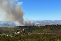Φωτιά τώρα στη Σταμάτα Αττικής - Μήνυμα 112 για εκκένωση