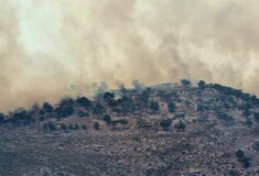 Φωτιά στη Χίο: Πέντε πυροσβέστες τραυματίστηκαν - Ενισχύονται οι δυνάμεις από Αθήνα, Λέσβο και Ρόδο