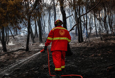 Συνελήφθη ένας 35χρονος για τη φωτιά στα Γλυκά Νερά