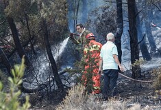Πυροσβεστική: 45 αγροτοδασικές φωτιές σε όλη τη χώρα το τελευταίο 24ωρο