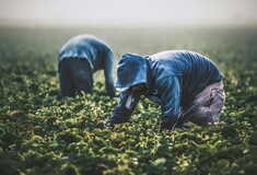 Έφερναν στην Ελλάδα αλλοδαπούς εργάτες, τους έπαιρναν τα έγγραφα και τους έβαζαν να δουλεύουν