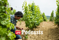 Τα πιο διάσημα Sauvignon Blanc του κόσμου βγαίνουν στον κεντρικό Λίγηρα