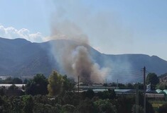 Φωτιά τώρα στον Μαραθώνα