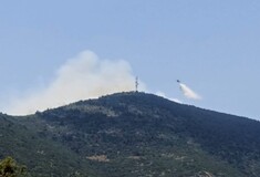Φωτιά καίει δάσος στις Ερυθρές Αττικής - Ενισχύονται συνεχώς οι πυροσβεστικές δυνάμεις