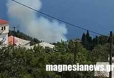 Φωτιά στο Πουρί Μαγνησίας