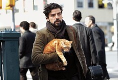 9 γάτες που έκλεψαν την παράσταση στο σινεμά