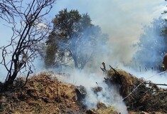 Νέα φωτιά τώρα στον Λαγκαδά Θεσσαλονίκης