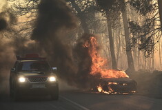 Φωτιά στην Ανατολική Αττική: Μήνυμα 112 για εκκένωση και από Διόνυσο