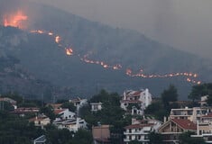 Φωτιά στην Αττική: Σε 15 λεπτά οι φλόγες έφτασαν από τον Διόνυσο στην Πεντέλη