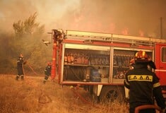 Φωτιά στην Αττική: Δύο πυροσβεστικά οχήματα κάηκαν στον Νέο Βουτζά, ένας τραυματίας