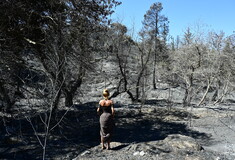 Η φωτιά στην Αττική έκαψε πάνω από 85.000 στρέμματα γης, λέει το Copernicus
