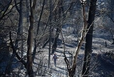 Φωτιά στην Αττική: Προ ημερησίας συζήτηση στη Βουλή ζητά ο Ανδρουλάκης - Τον Σεπτέμβριο, απαντά η κυβέρνηση