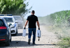 Μαγνησία: Βρέθηκε σορός άνδρα δεμένη χειροπόδαρα σε δύσβατο σημείο 