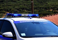 Βόλος: Συνελήφθη ο άντρας που σκότωνε αδέσποτα ζώα κατά συρροή