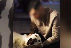 Βόλος: Αγκαλιά με σκυλιά φωτογραφιζόταν ο 31χρονος που σκότωνε αδέσποτα - «Πέφτω απ' τα σύννεφα» λέει φίλη του