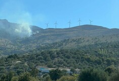 Φωτιά τώρα στη Λέσβο - Καίγεται περιοχή με χαμηλή βλάστηση