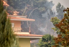 Εννέα φωτιές από το πρωί στην Ηλεία: Ανησυχούν για εμπρησμό